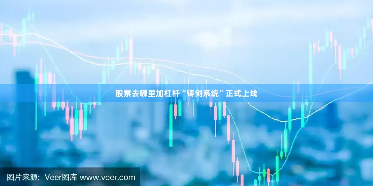 股票去哪里加杠杆“铸剑系统”正式上线