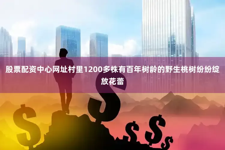 股票配资中心网址村里1200多株有百年树龄的野生桃树纷纷绽放花蕾