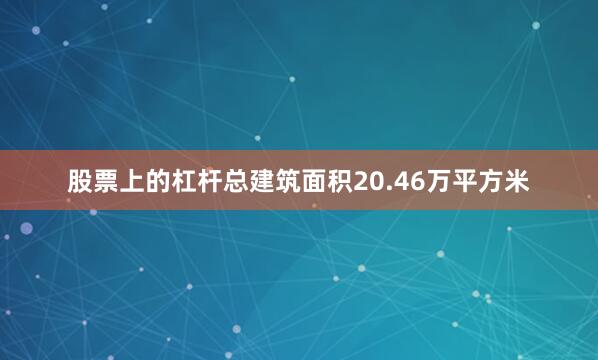 股票上的杠杆总建筑面积20.46万平方米