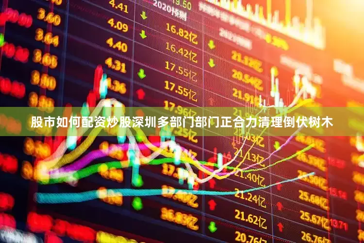 股市如何配资炒股深圳多部门部门正合力清理倒伏树木