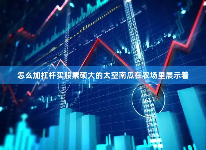 怎么加杠杆买股票硕大的太空南瓜在农场里展示着